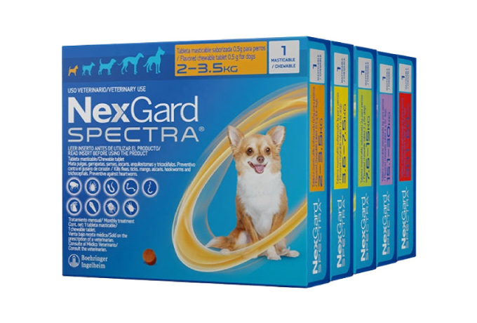 nexgard spectra dog